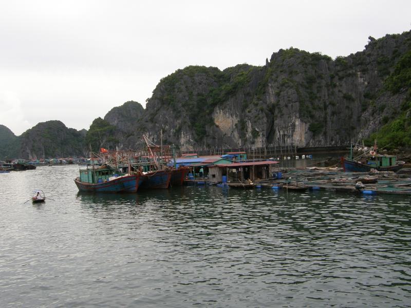 Cat Ba   HP 11