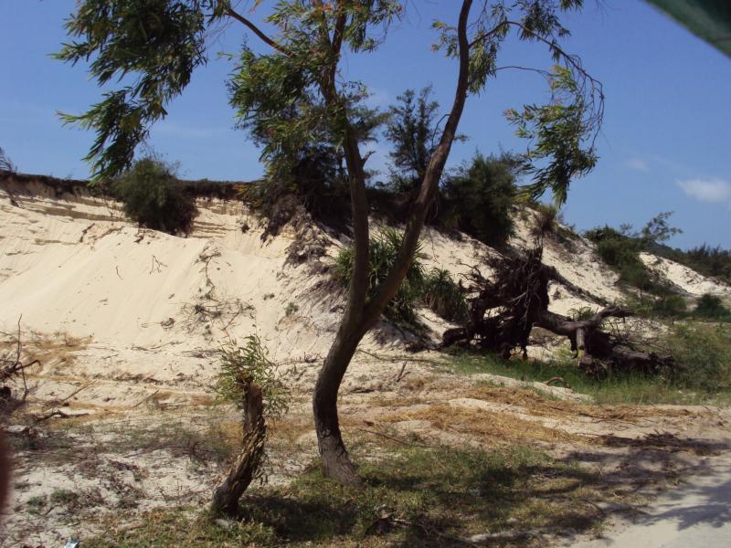 Quan Lan Island 10