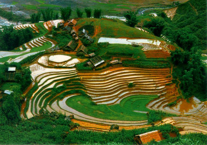 ruong bac thang