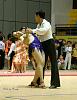 DSC08807