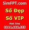 simdep0403's Avatar