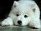 Duong Tran's Avatar